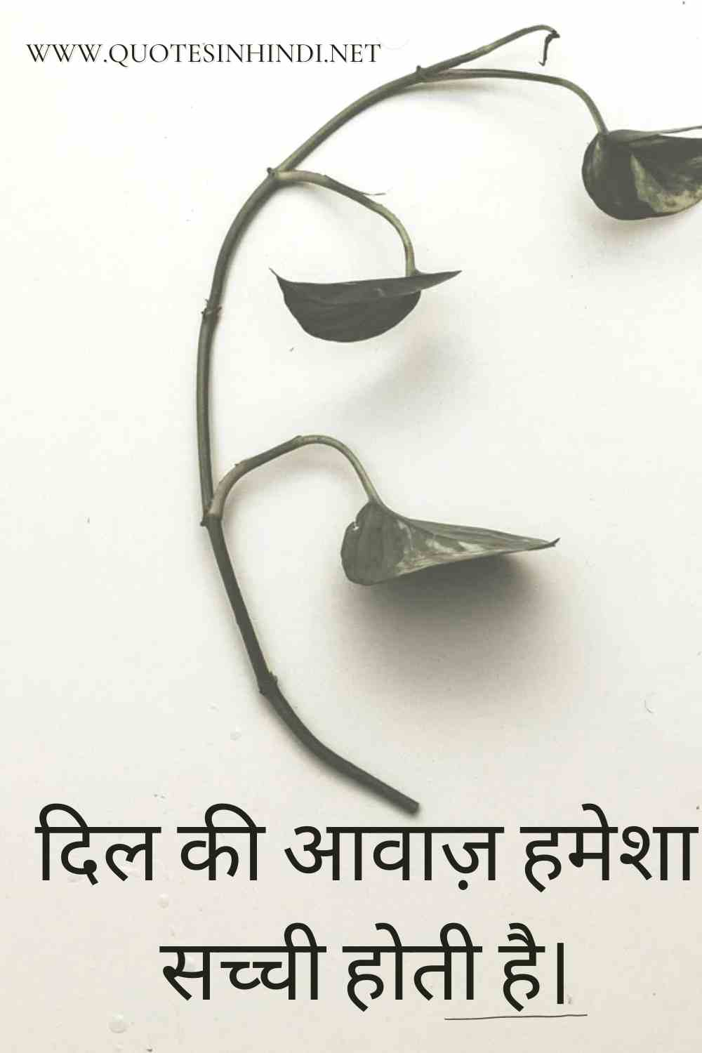 Love Quotes In Hindi 1 6