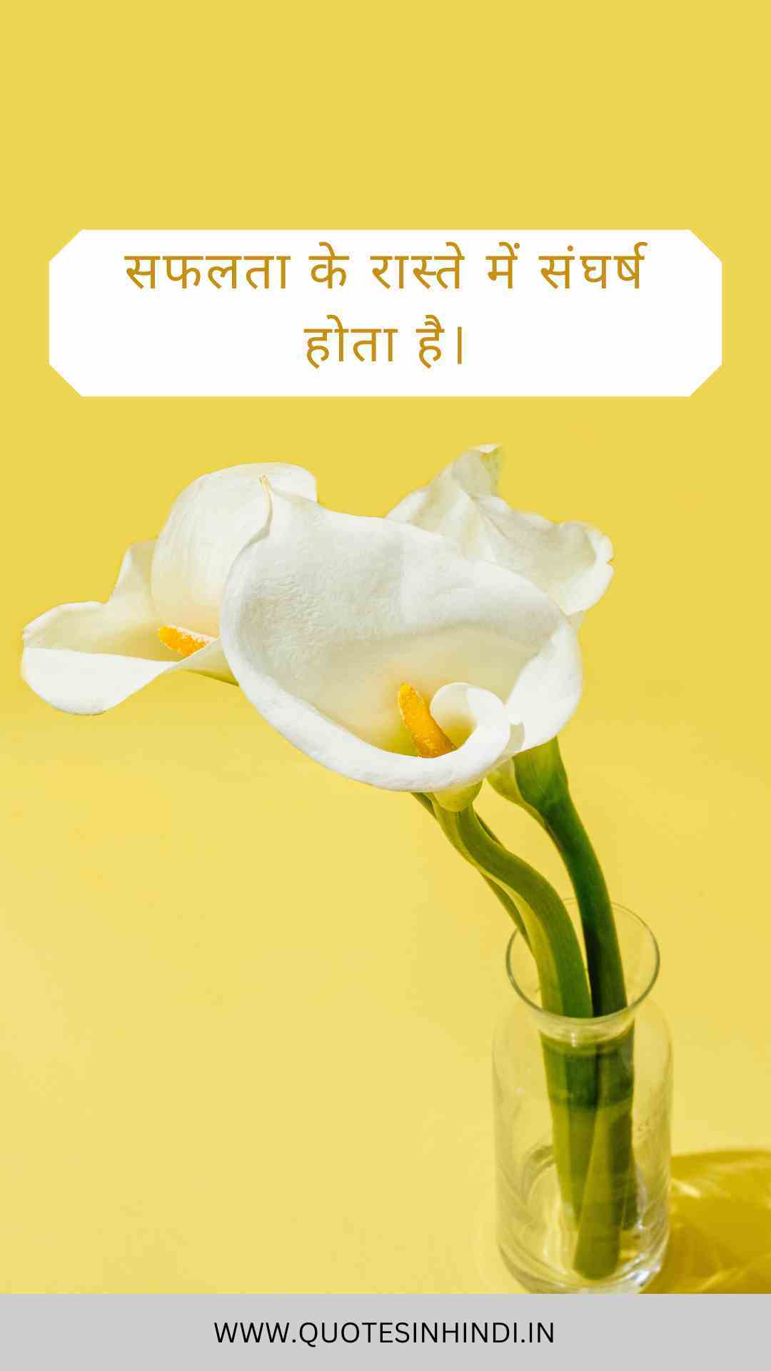 Struggle Motivational Quotes In Hindi 1 21