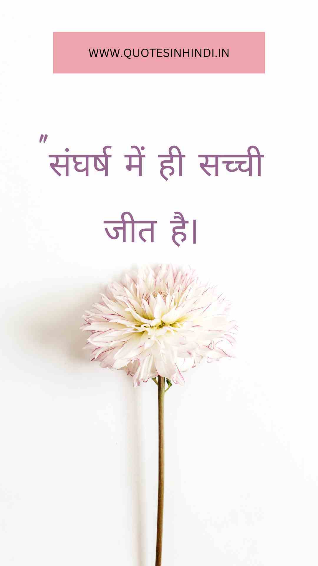 Struggle Motivational Quotes In Hindi 1 24