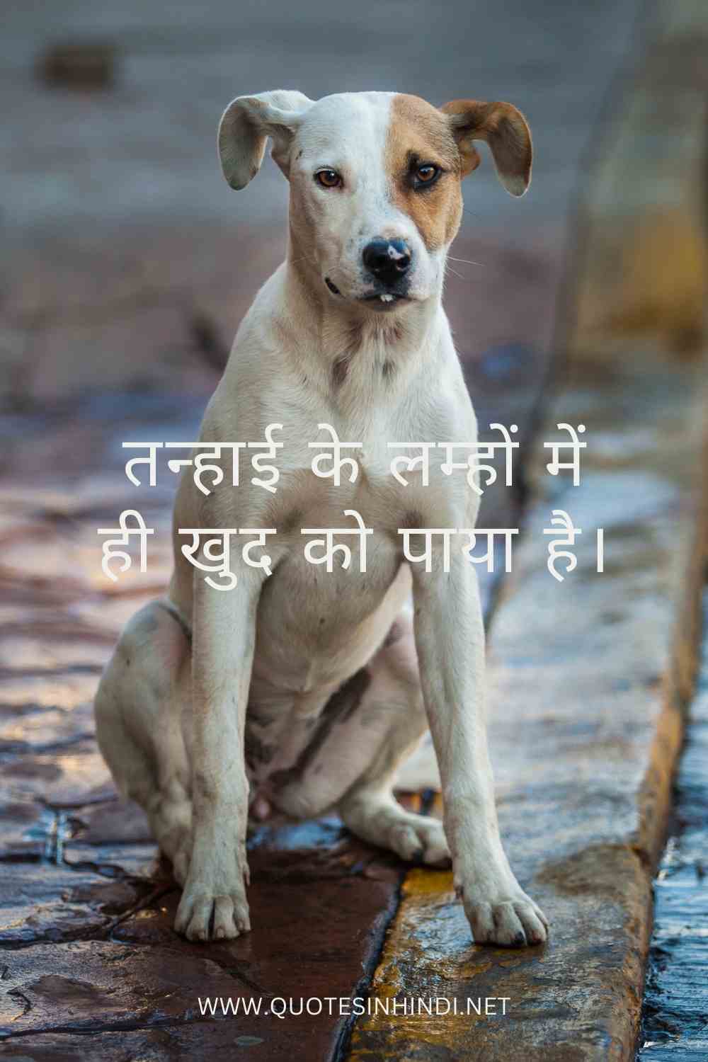 Alone Sad Quotes In Hindi 1 19