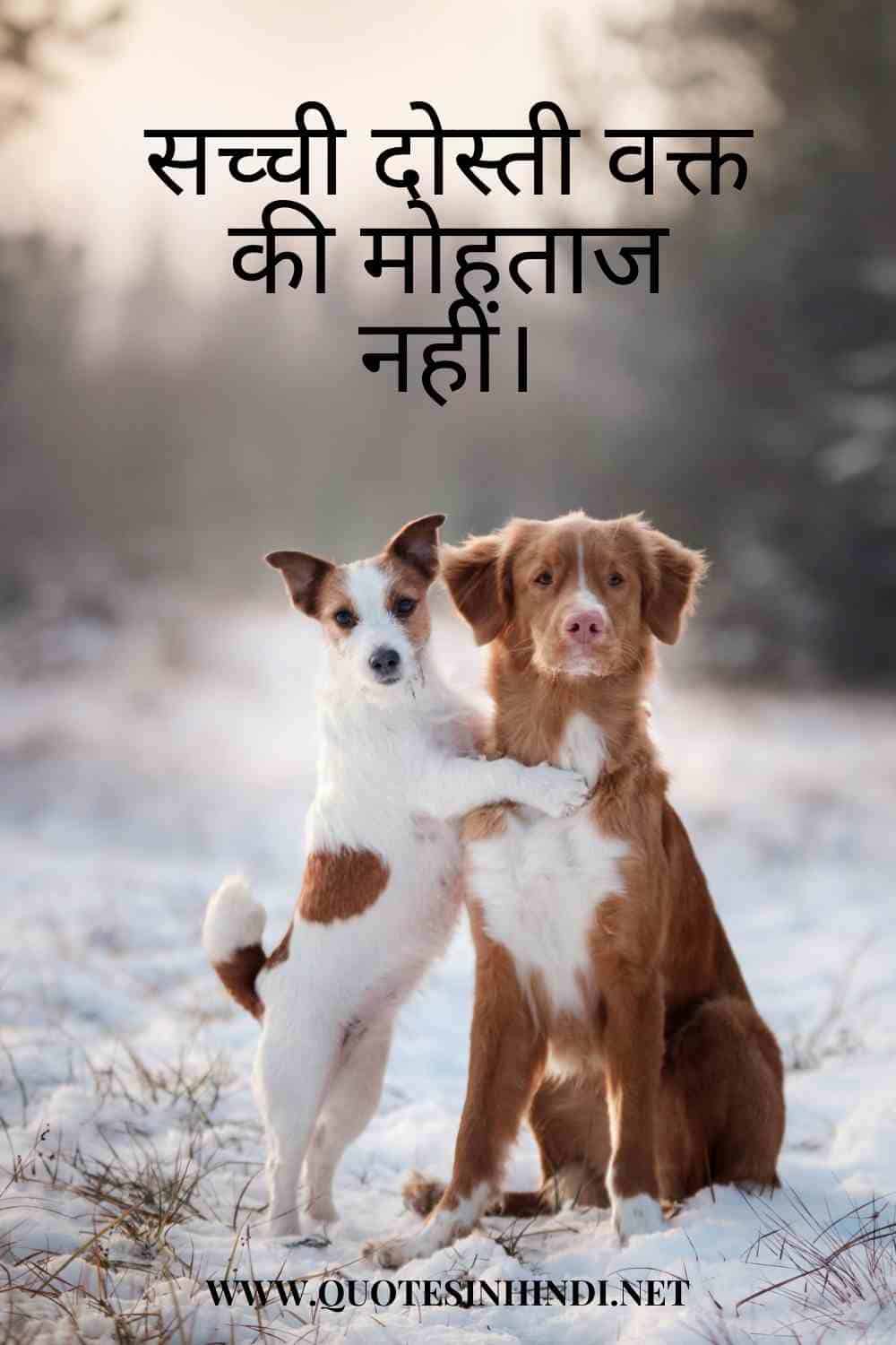 Friendship Day Quotes In Hindi 1 5