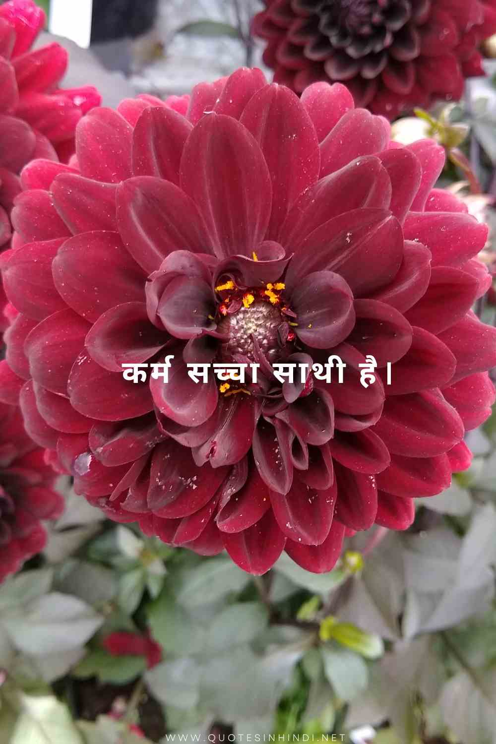 Karma Quotes In Hindi 1 18