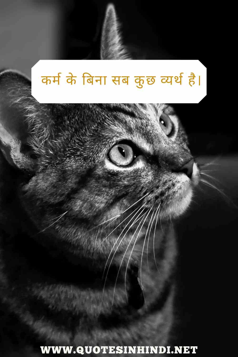 Karma Quotes In Hindi 1 21