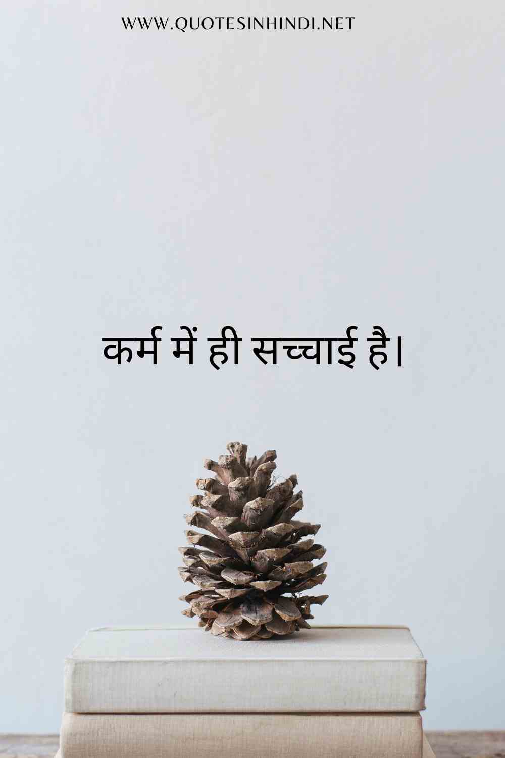 Karma Quotes In Hindi 1 24