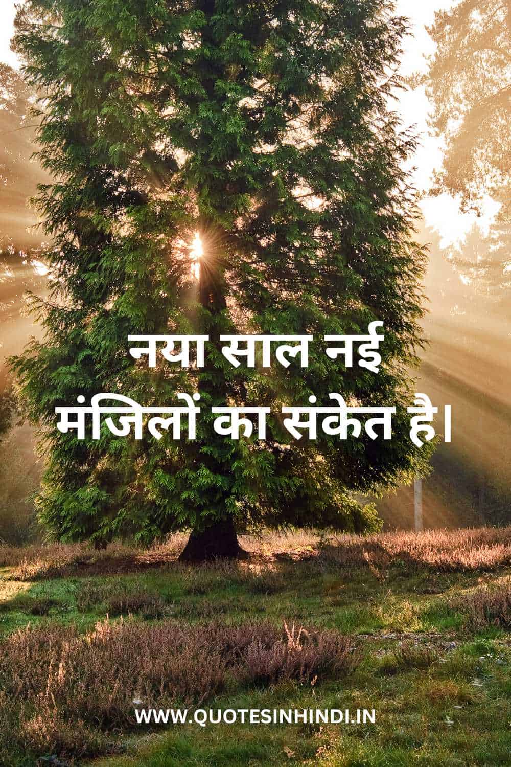 Motivational New Year Quotes In Hindi 1 11