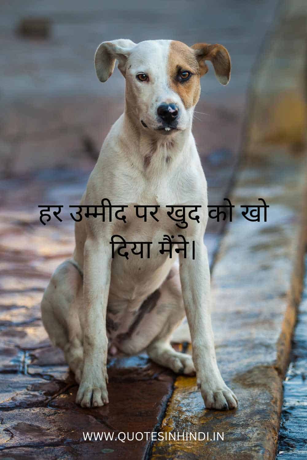 Sad Life Quotes In Hindi 1 17