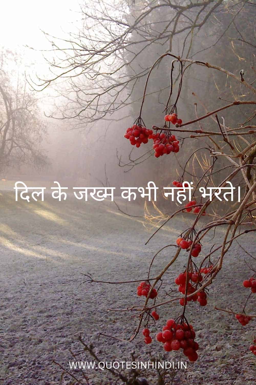 Sad Quotes In Hindi English 2 23