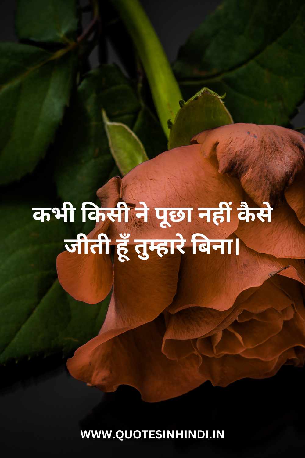 Sad Wife Quotes In Hindi 1 22